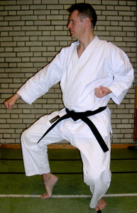 Nekko ashi dashi, harae uke